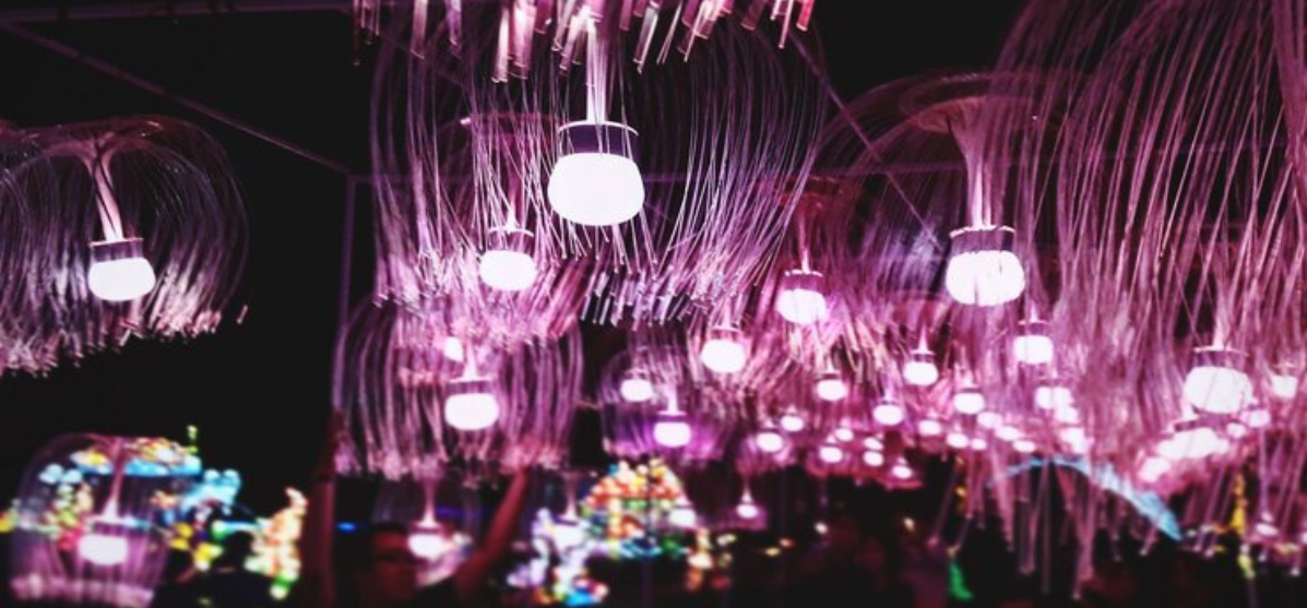 Mandap Lighting